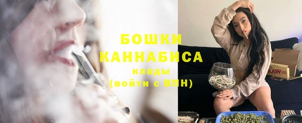 spice Козельск