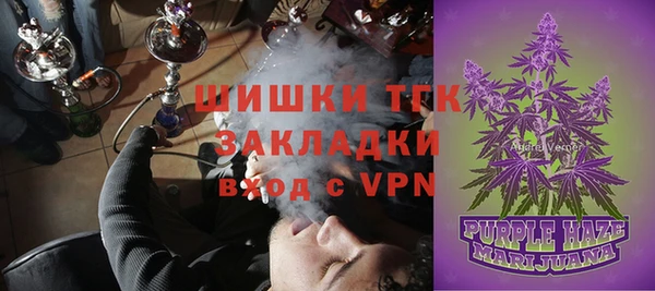 ГАЛЛЮЦИНОГЕННЫЕ ГРИБЫ Кодинск