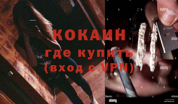 ГАЛЛЮЦИНОГЕННЫЕ ГРИБЫ Кодинск