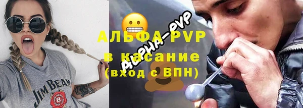 PSILOCYBIN Козловка
